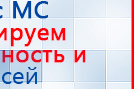 СКЭНАР-1-НТ (исполнение 01)  купить в Балашове, Аппараты Скэнар купить в Балашове, Скэнар официальный сайт - denasvertebra.ru